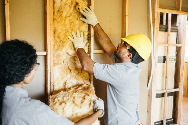 Best Spray Foam Insulation  in Skiato, OK